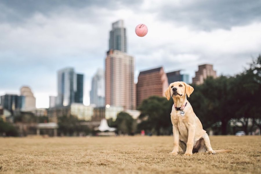 zilker